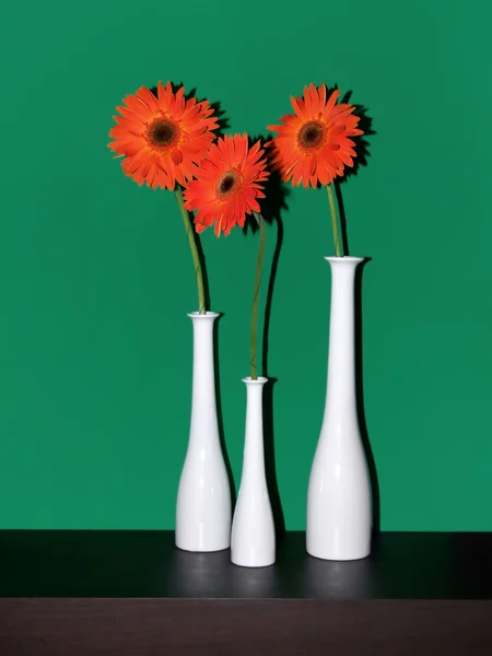 stock image Tree vases