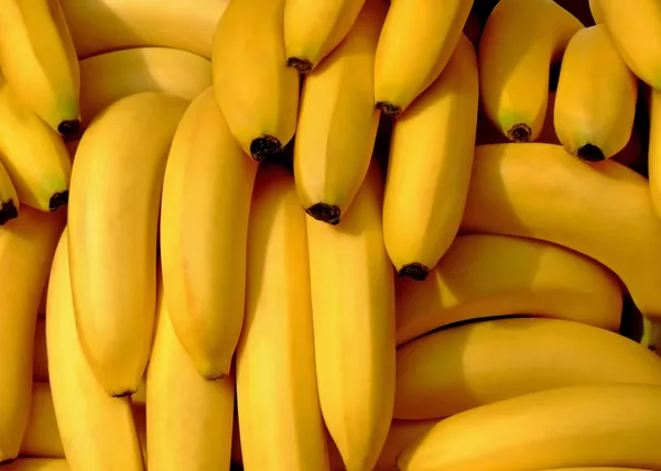 Банановая куча Стоковое Изображение