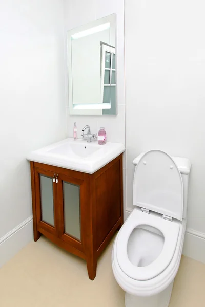 Винтажный туалет — стоковое фото