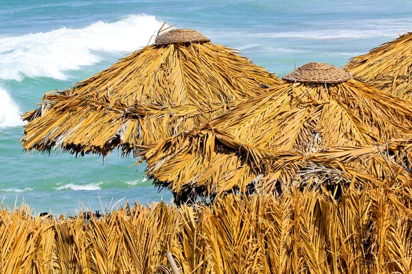 Umbrele de palmier — Fotografie, imagine de stoc