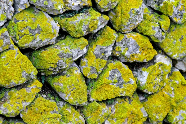 Moss stones — Stock Photo, Image