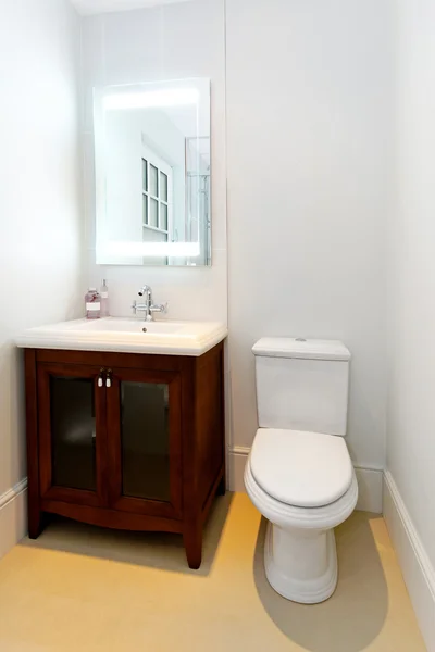 古典的なトイレ — ストック写真