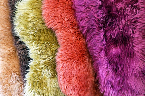 Color fur — Stock Photo, Image