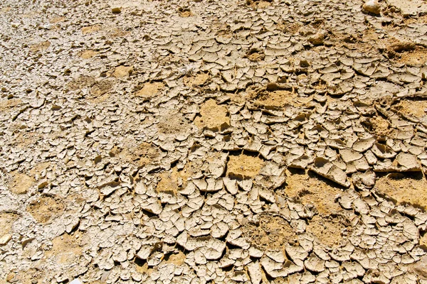 Terra desertica incrinata — Foto Stock