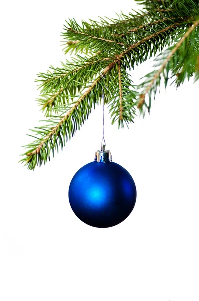 杉木树上的蓝色圣诞装饰品。 — 图库照片
