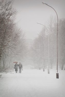 üst düzey iki kışın parkta yürüyüş