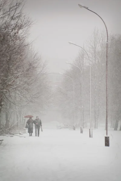 Senior koppel wandelen in het park in de winter — Stockfoto