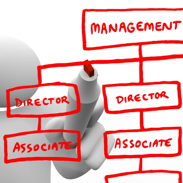 Drawing Organizational Chart on Board — Stock Photo, Image