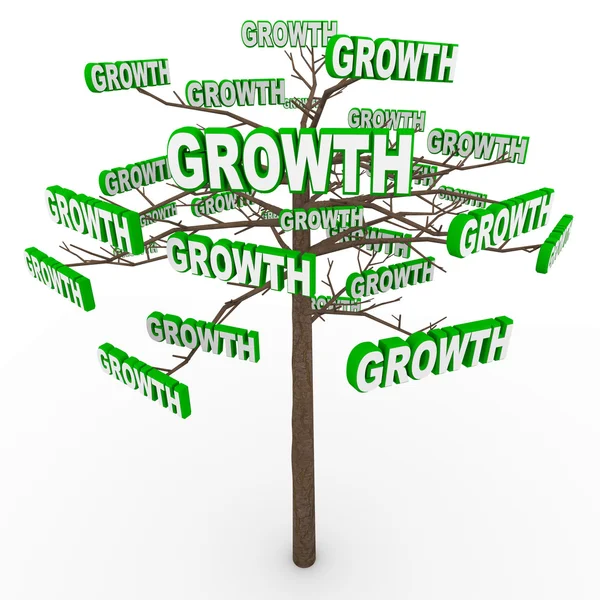 Wachstumsbaum - Worte auf Ästen symbolisieren organisches Wachstum — Stockfoto