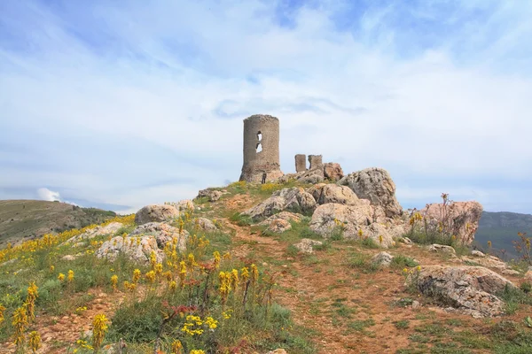 Alte Festung Auf Einem Hügel — Stockfoto
