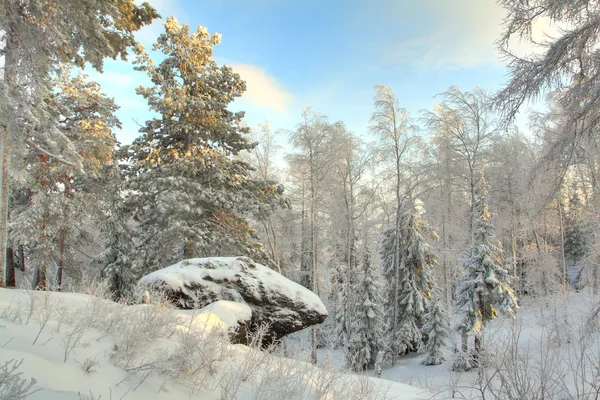Foresta Invernale Montagna — Foto Stock