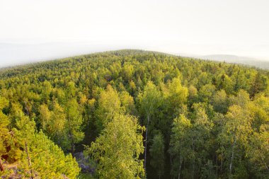 Panoramik dağ orman