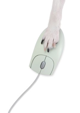 Dog Paw on Computer Mouse clipart