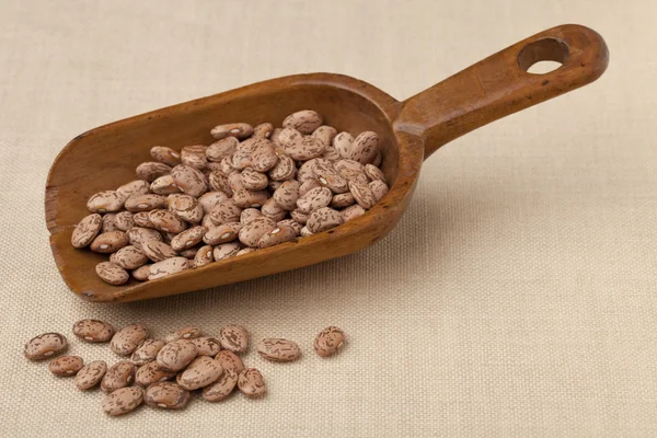 Rustic scoop of pinto beans — Stock Photo, Image