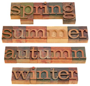 İlkbahar, yaz, sonbahar ve kış