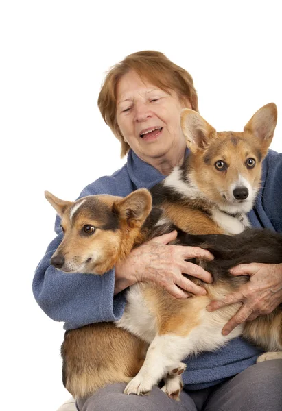 Starší dáma s její štěňátka corgiů — Stock fotografie