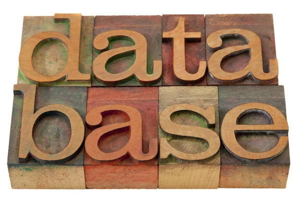 Parola del database nel tipo letterpress — Foto Stock