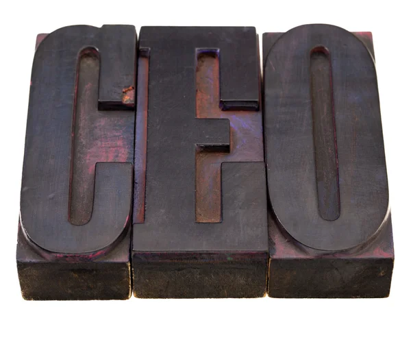 Chief executive officer (CEO) acronym — Stock Photo, Image
