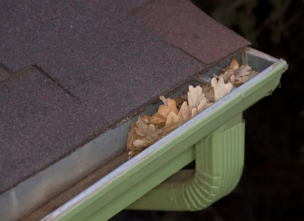 Gutter blocked by dry leaves — Stock Photo, Image