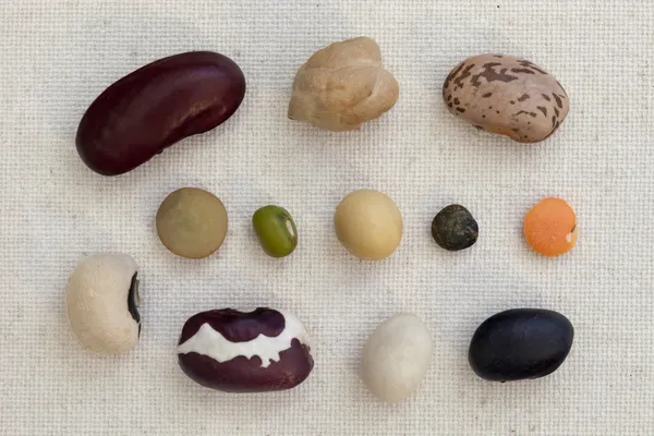 Variedade de feijões e lentilhas sobre tela — Fotografia de Stock