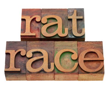 Endless, self-defeating or pointless pursuit - rat race phrase in vintage wooden letterpress printing blocks, stained by color inks, isolated on white clipart