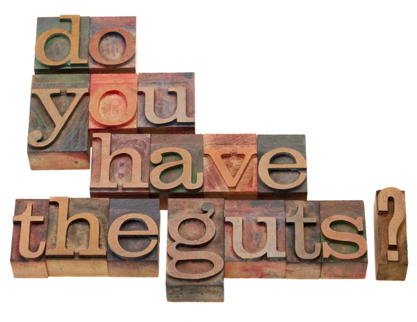 stock image Do you have the guts - question in vintage wooden letterpress printing block, isolated on white