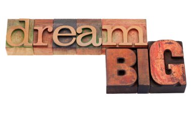 Dream big phrase in letterpress type clipart