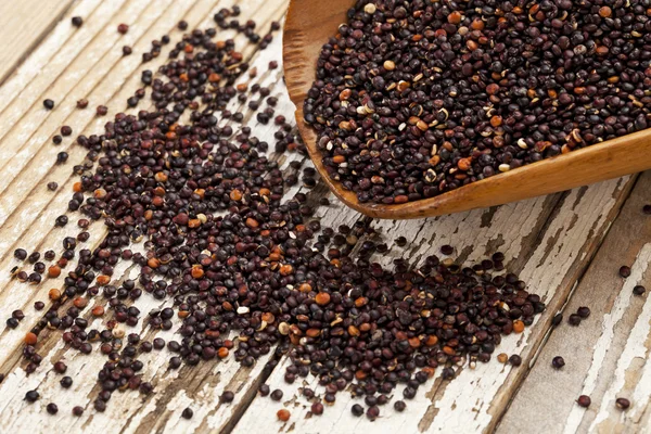 Siyah quinoa Kepçe — Stok fotoğraf