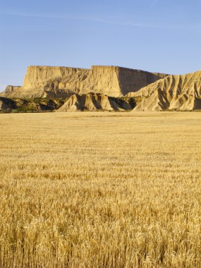 Bardenas Reales