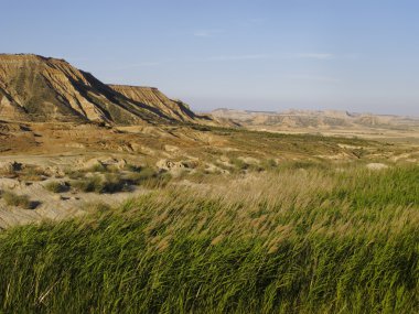 Bardenas Reales