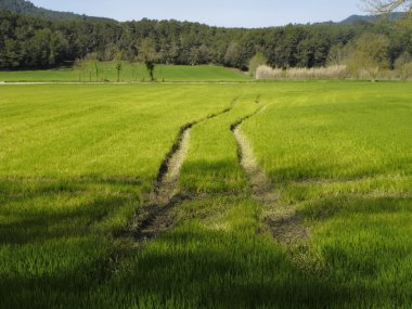 Banyoles, Katalonya, İspanya