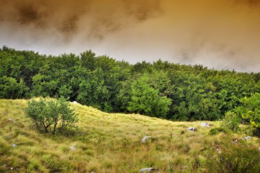 Beautiful landscape of hils on foggy summer day