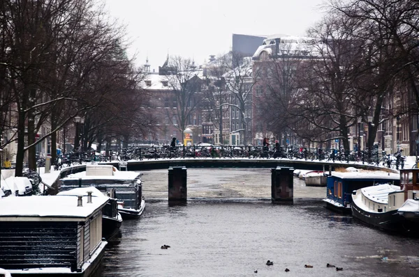 Canal de Ámsterdam con barcos casa —  Fotos de Stock
