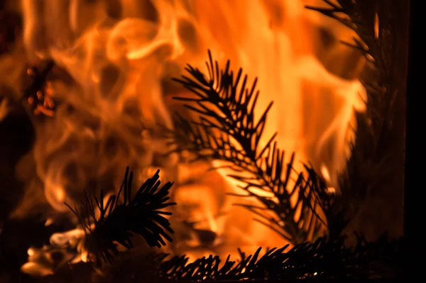 Roaring Fire Fir Branches Fireplace — Stock Photo, Image