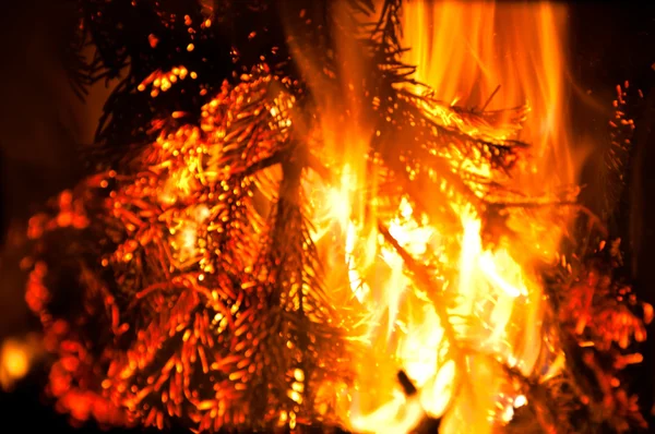 モミの枝の暖炉でとどろく火 — ストック写真