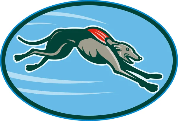 Greyhound racing en springen set binnen ovaal — Stockfoto