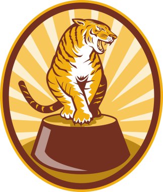 Angry tiger sitting on top of plinth clipart