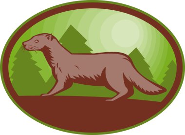 European mink side view clipart