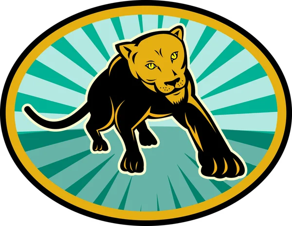 Lion or cougar crawling towards you — Stock Photo, Image