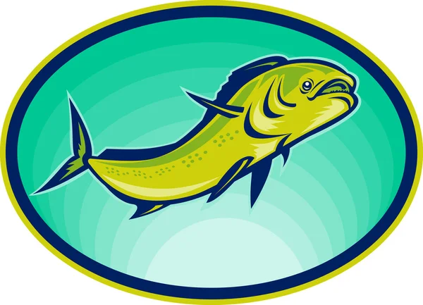 Delfin hal vagy mahi mahi — Stock Fotó