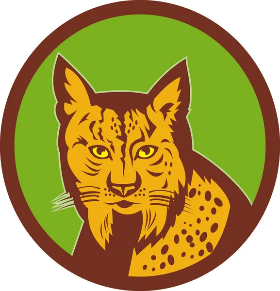 Iberische lynx hoofd voorkant — Stockfoto