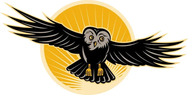 Owl flying swooping — Stock Photo, Image