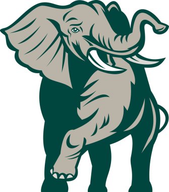 African elephant charging attacking clipart