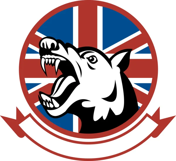 Злая дрессированная сторожевая собака с британским флагом — стоковое фото
