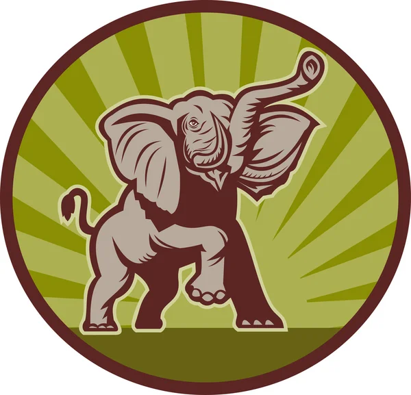 Slon africký nabíjení útočí — Stock fotografie