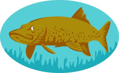 Pike or muskie fish swimming clipart