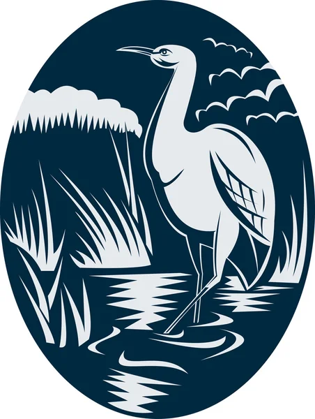 Heron wading in the marsh or swamp — Stock Photo, Image