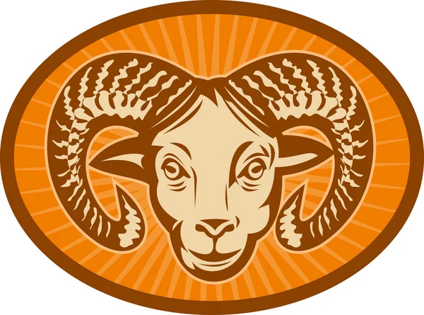 Бигхорн овца или баран — стоковое фото