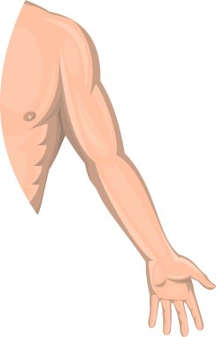 Human male arm left side clipart