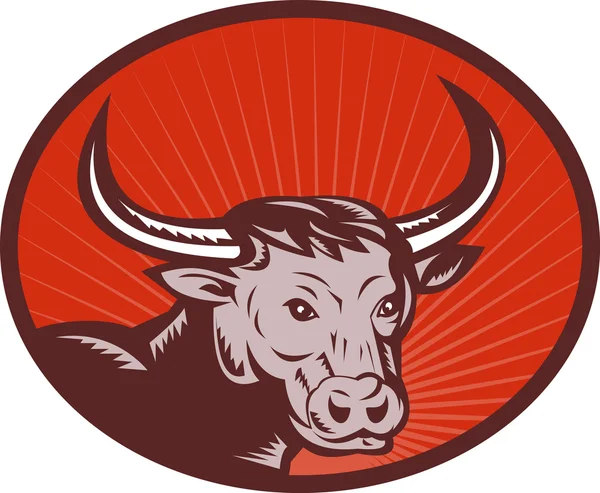 Texas longhorn bull — Stockfoto